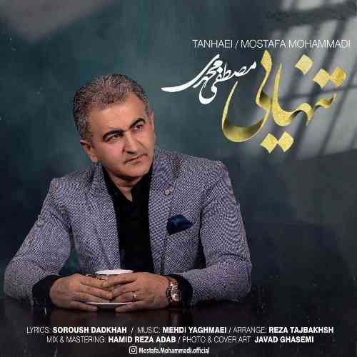 مصطفی محمدی تنهایی